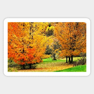 Grassy Autumn Road Sticker